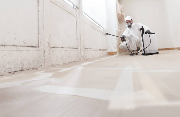 24/7 Emergency Mold Testing experts in Barrington, NJ