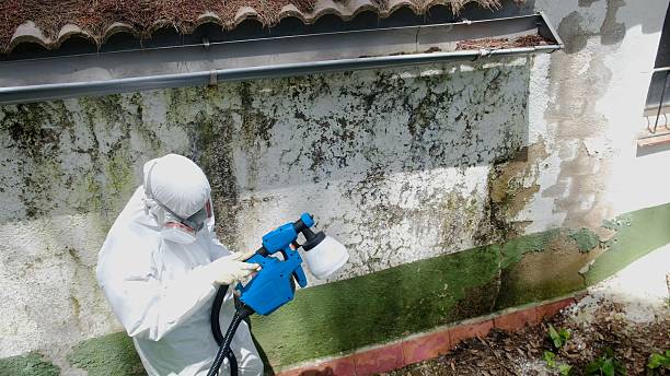 Trusted Bathroom Mold Removal service in Barrington, NJ - Cheap Mold Removal